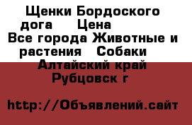 Щенки Бордоского дога.  › Цена ­ 30 000 - Все города Животные и растения » Собаки   . Алтайский край,Рубцовск г.